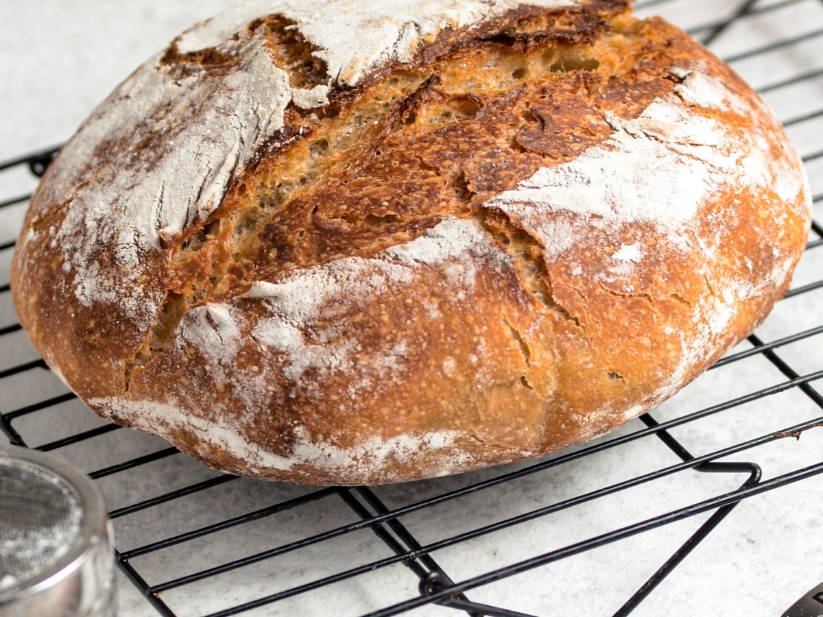 Roti Pertama Menggunakan Yeast&nbsp;Water